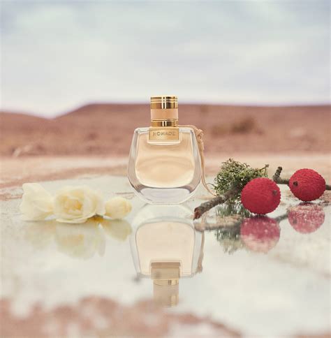 dior nomade perfume